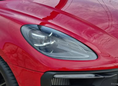 Macan