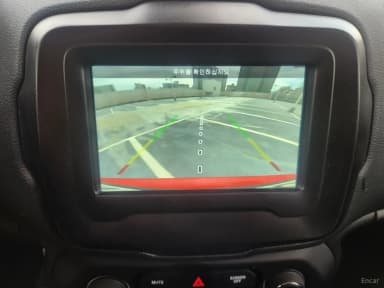 Renegade
