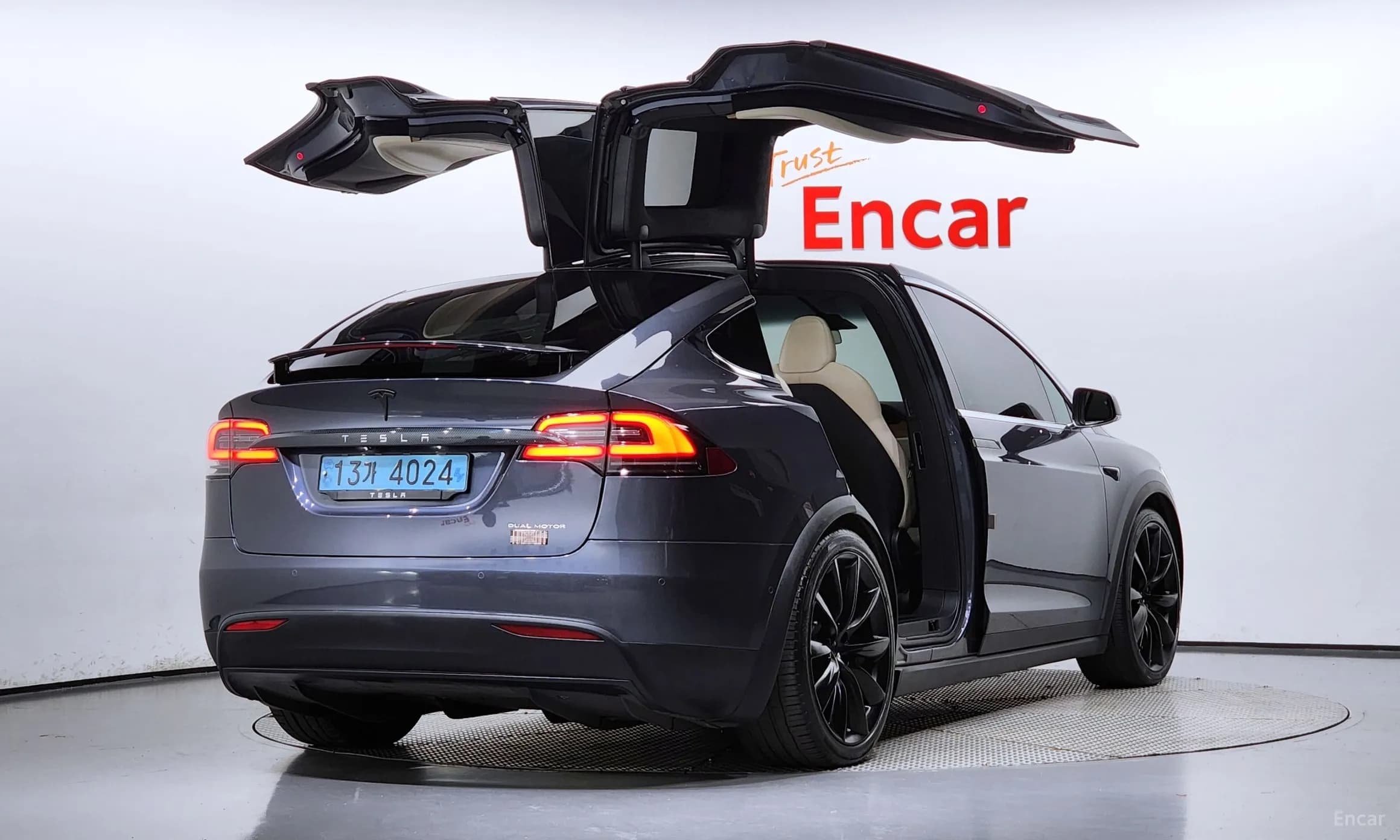 Model X