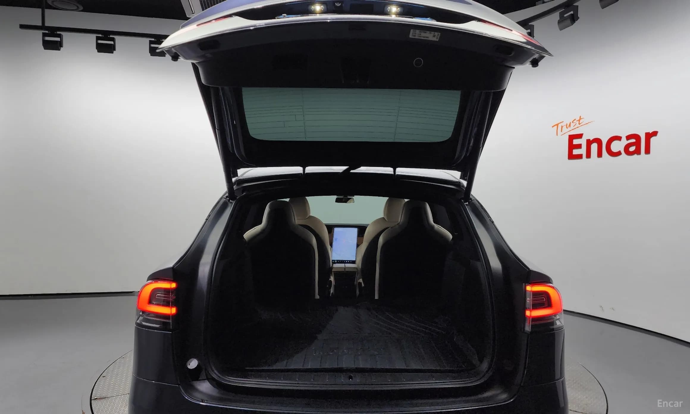 Model X