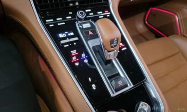Panamera (971)