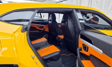 Urus