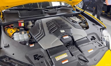 Urus