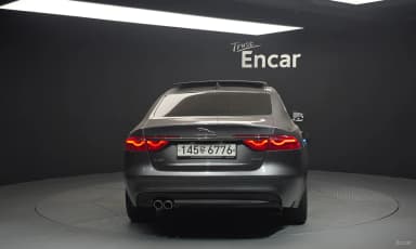 XF (x260)