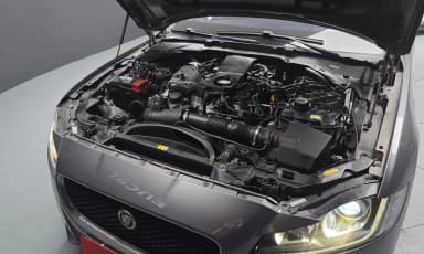 XF (x260)