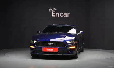 Mustang