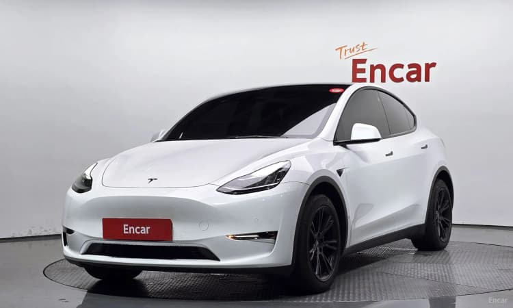 Model Y