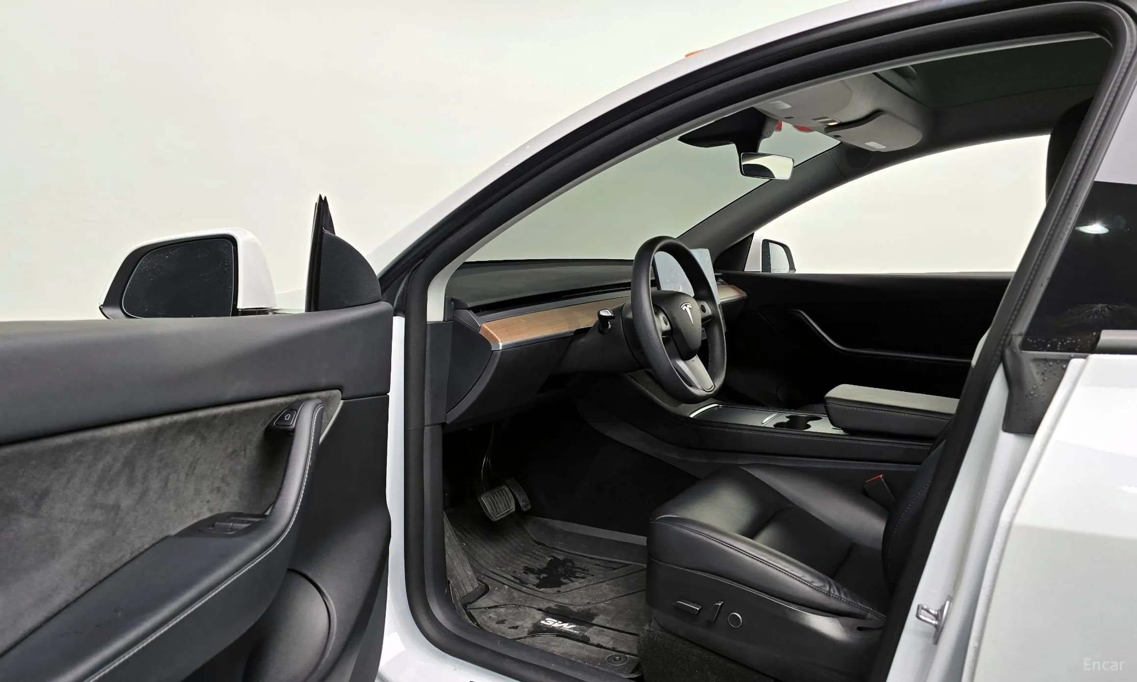 Model Y