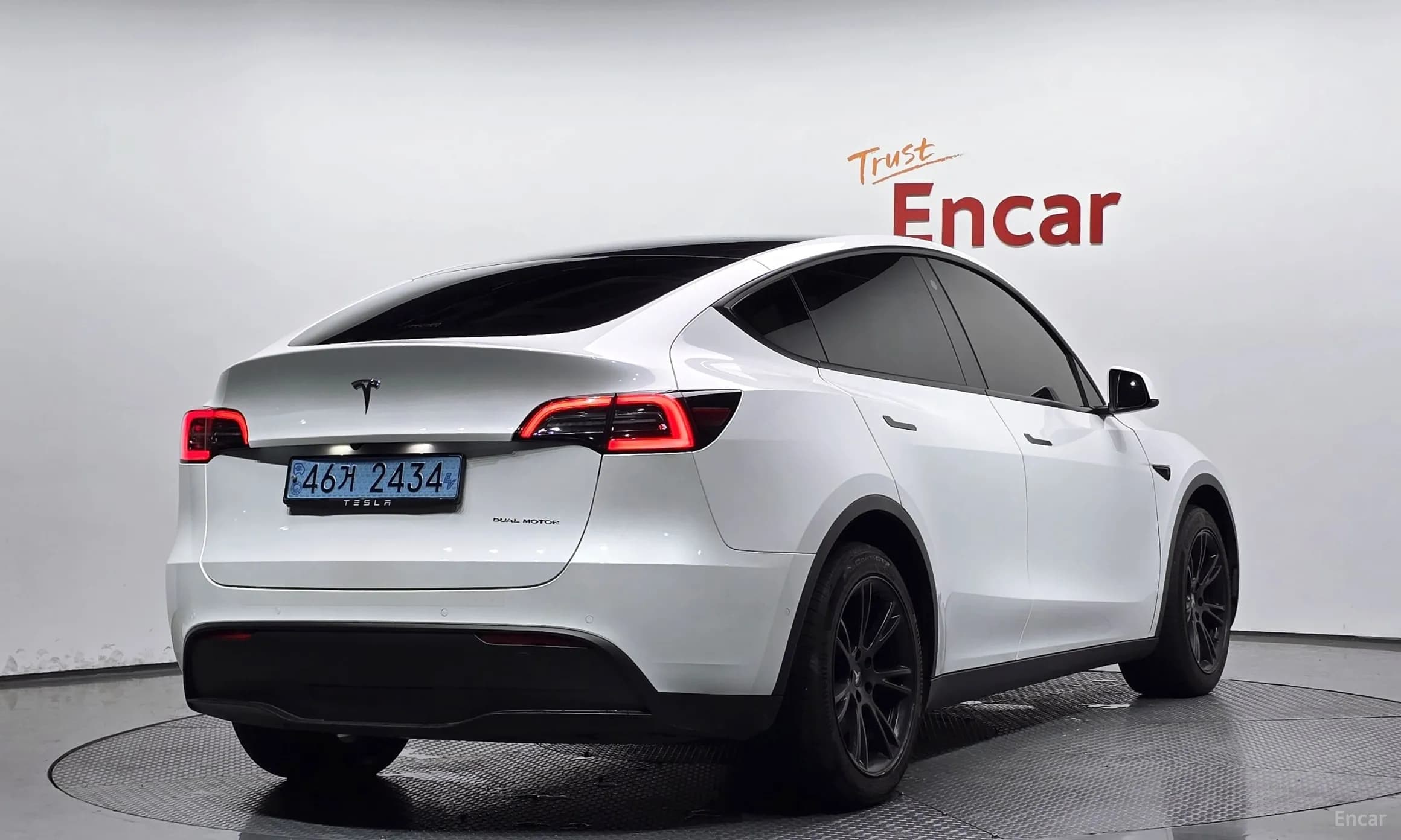 Model Y
