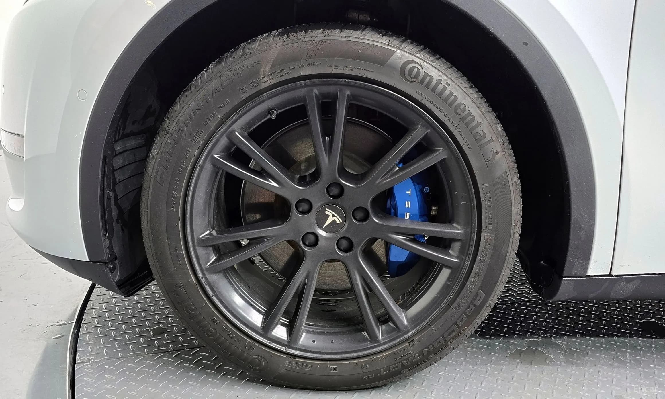 Model Y