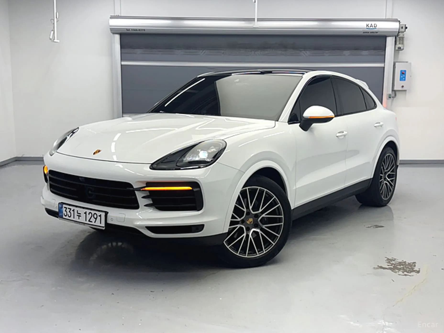 Cayenne (PO536)