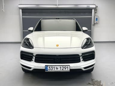 Cayenne (PO536)