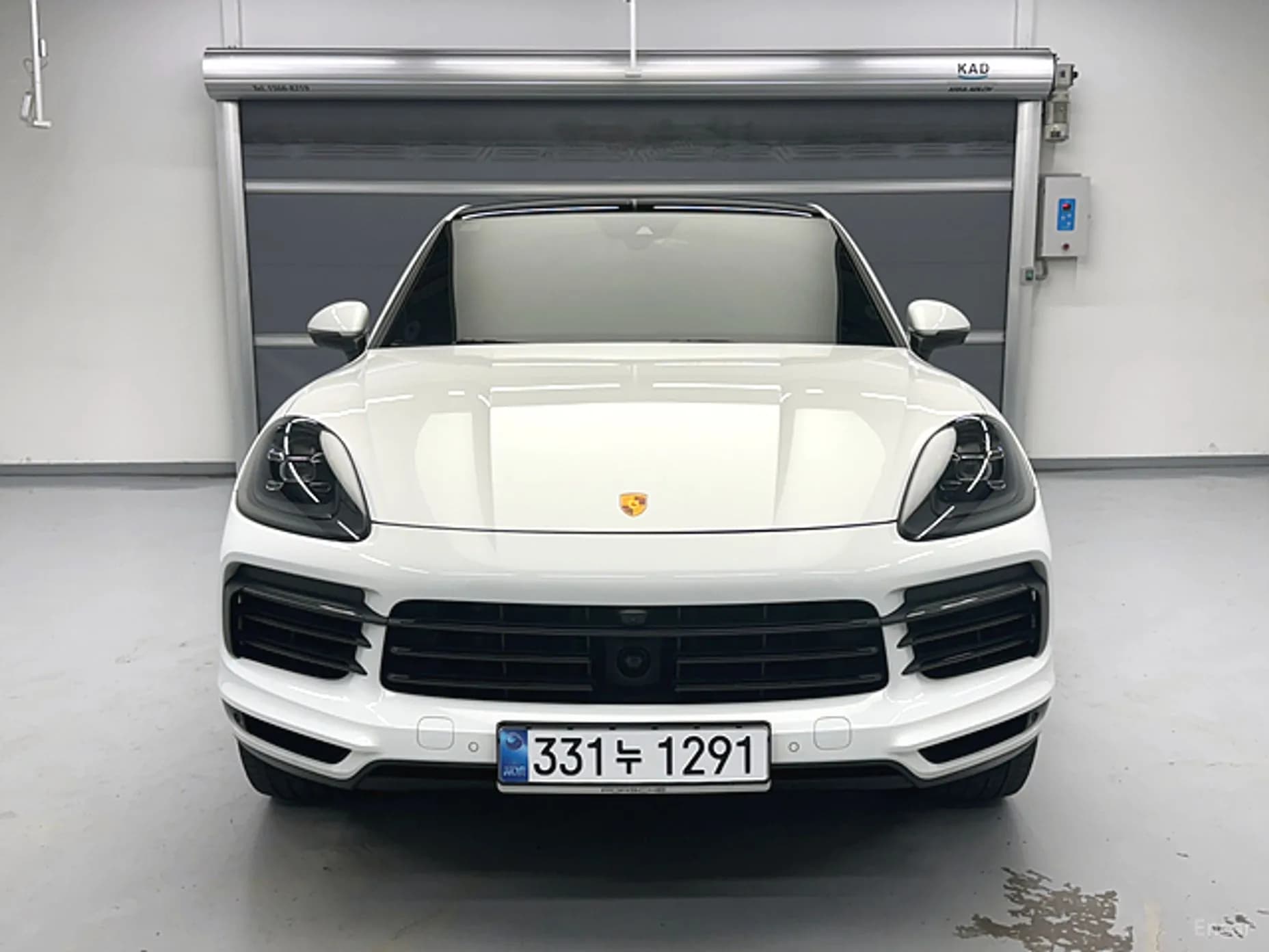 Cayenne (PO536)