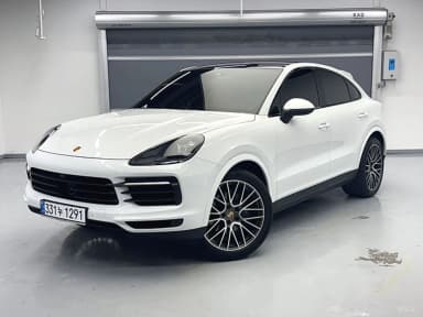 Cayenne (PO536)