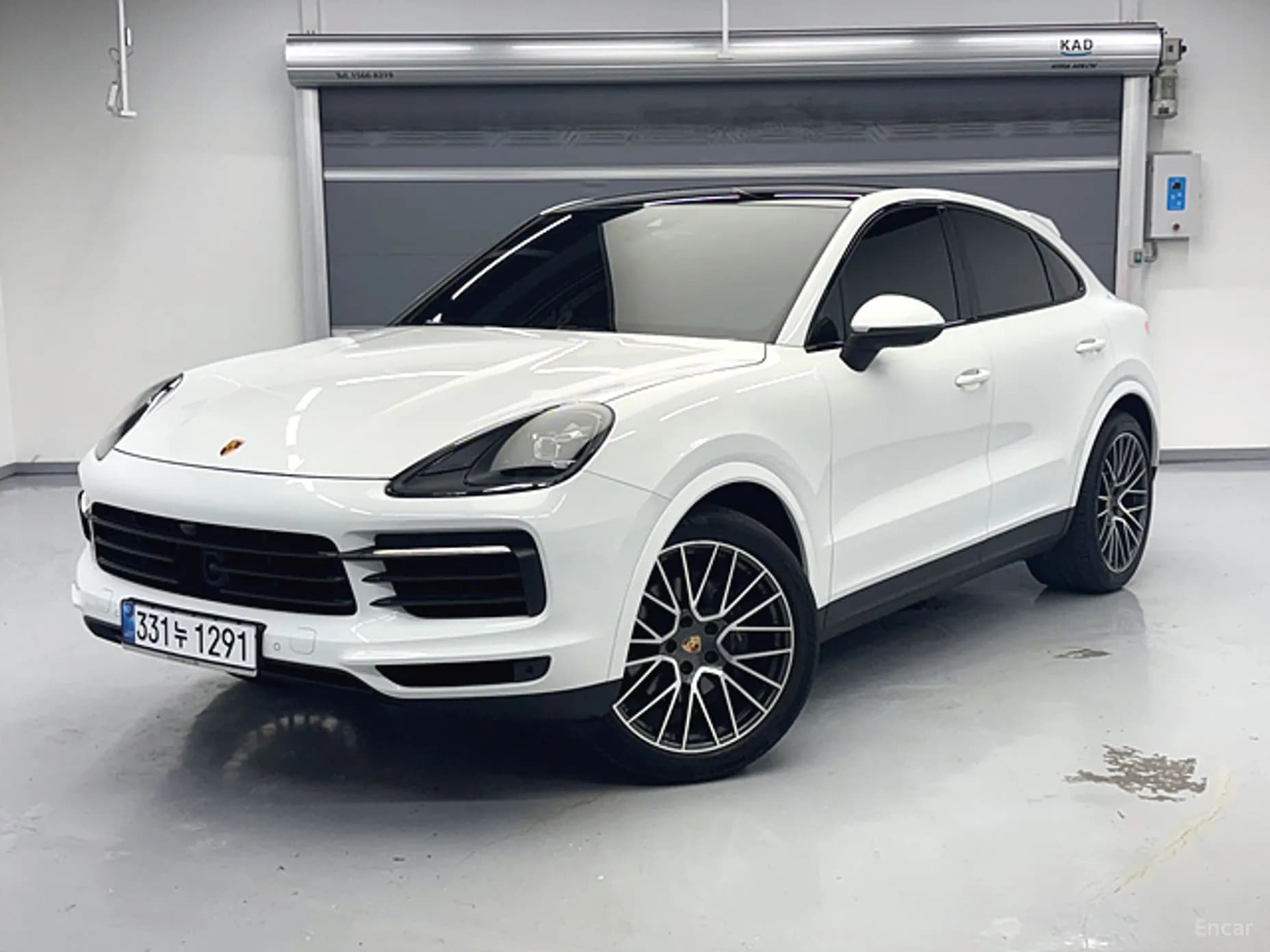 Cayenne (PO536)