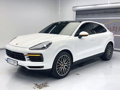 Cayenne (PO536)
