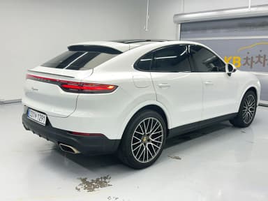 Cayenne (PO536)