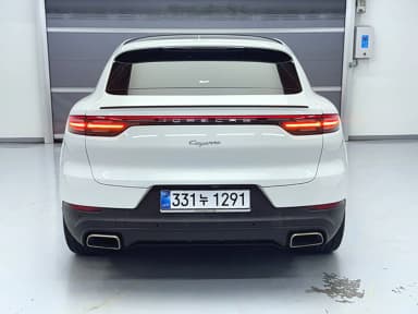 Cayenne (PO536)