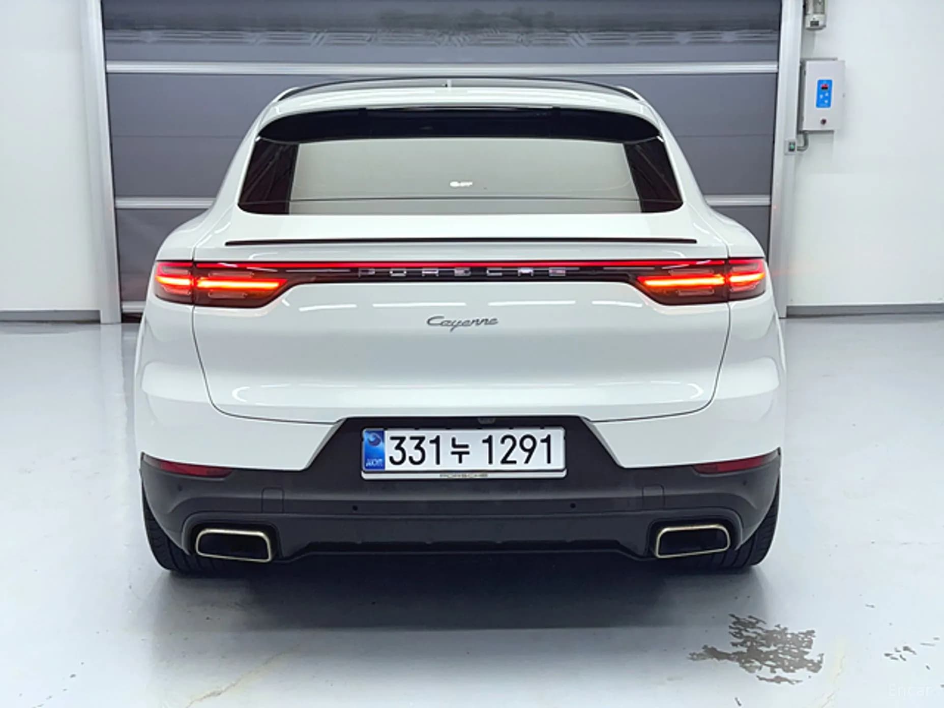 Cayenne (PO536)
