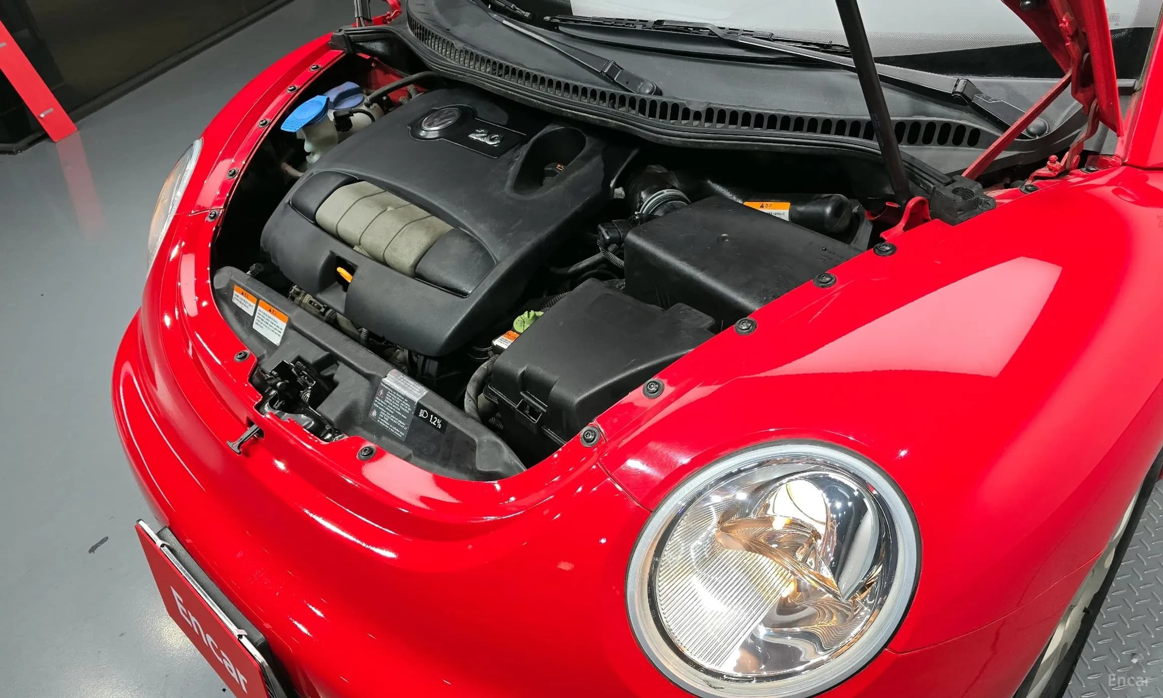 New Beetle