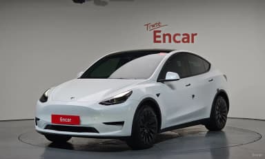 Model Y