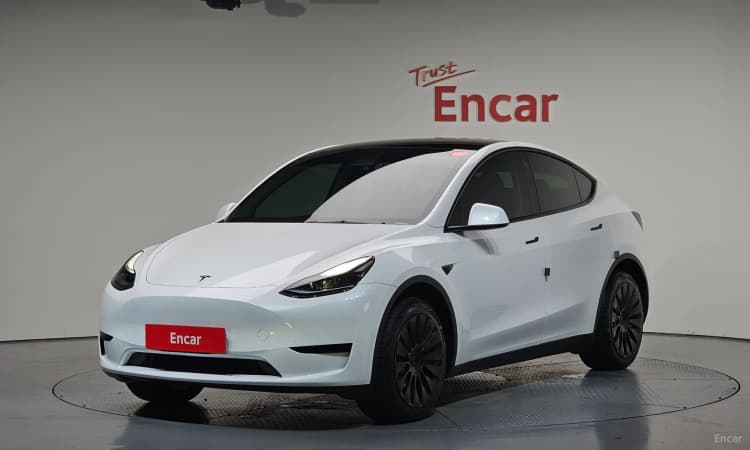 Model Y
