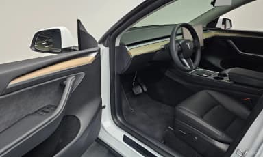 Model Y