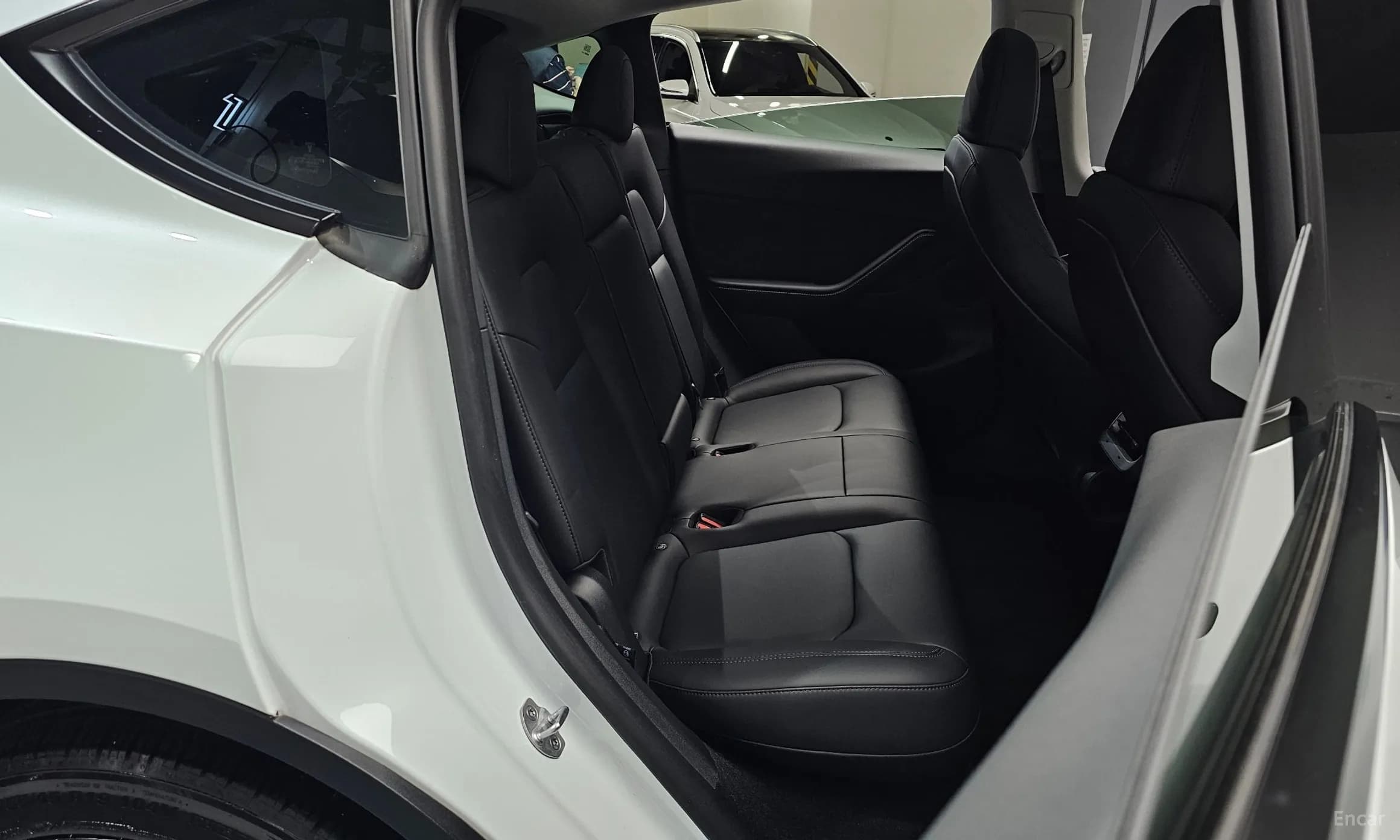 Model Y