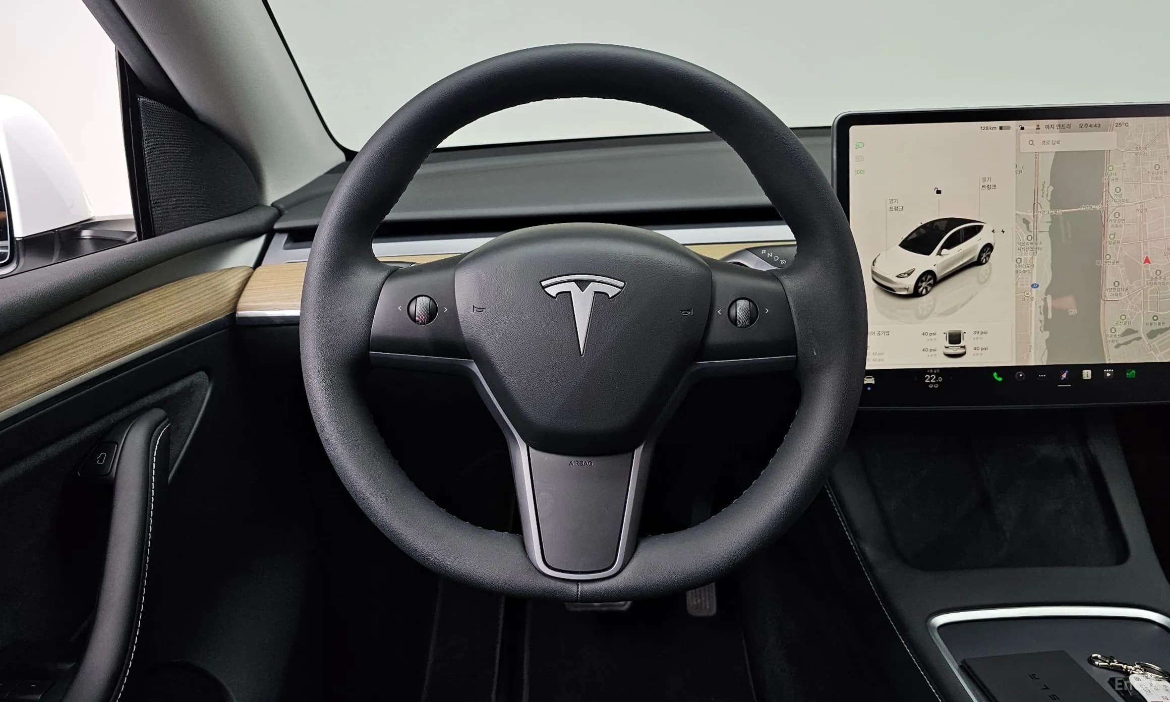 Model Y