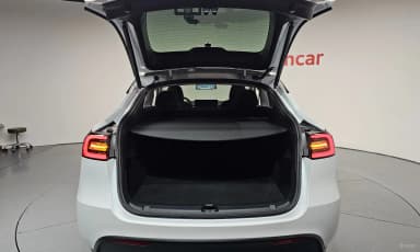 Model Y