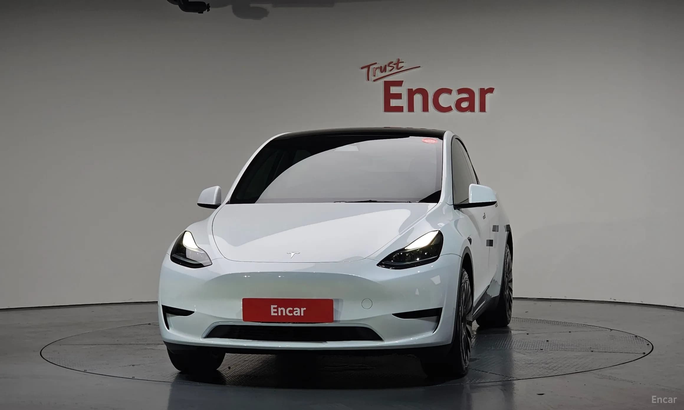 Model Y