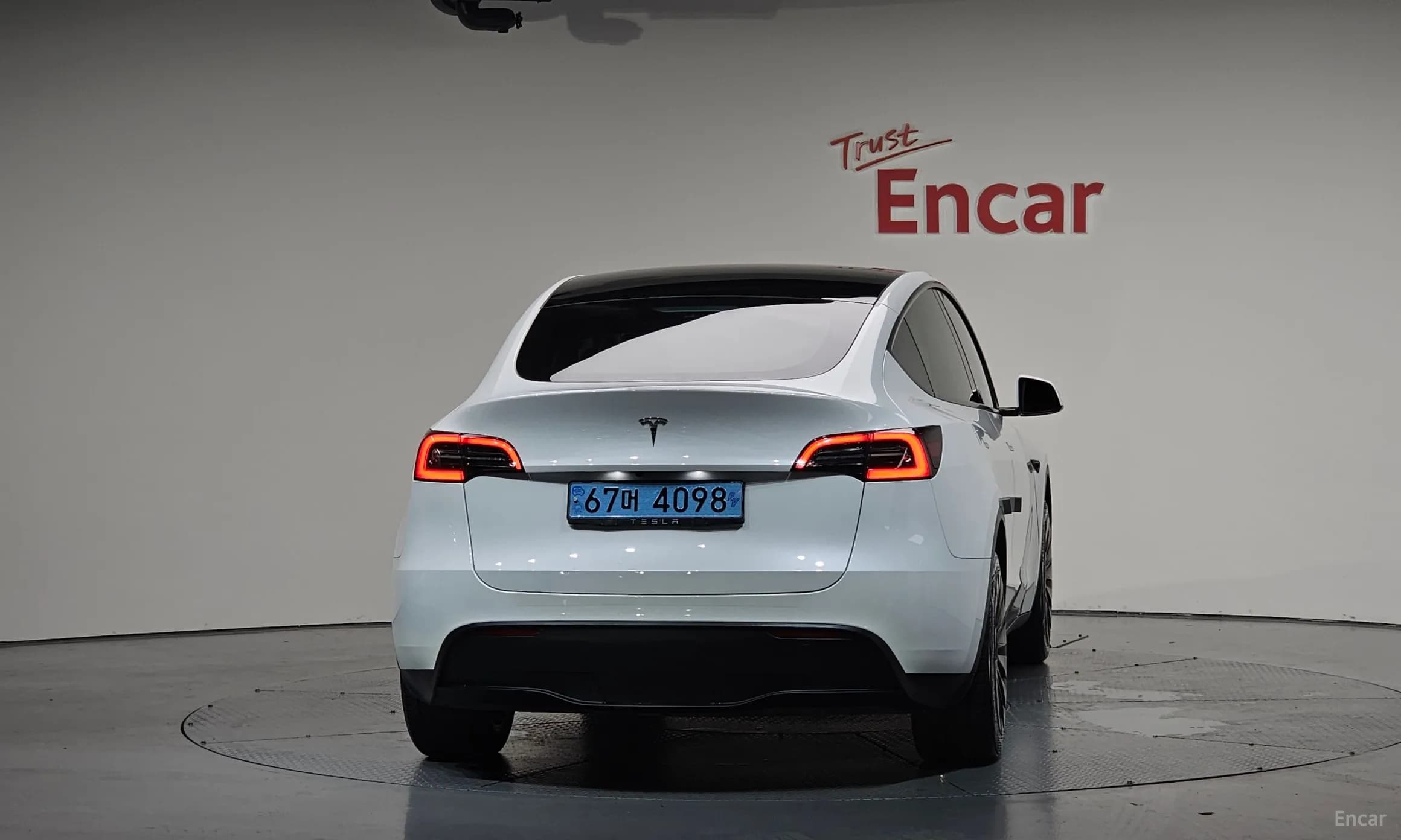 Model Y