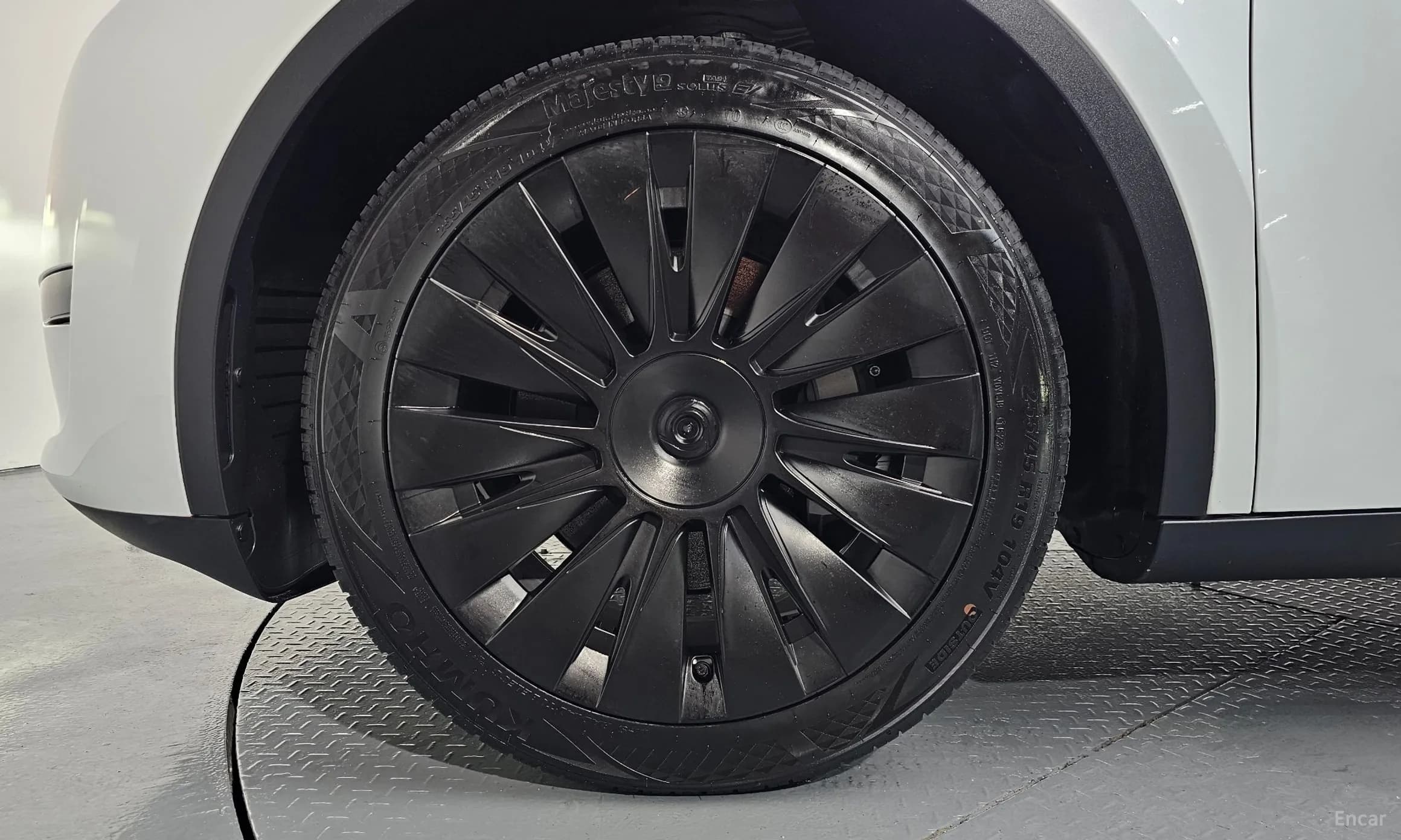 Model Y