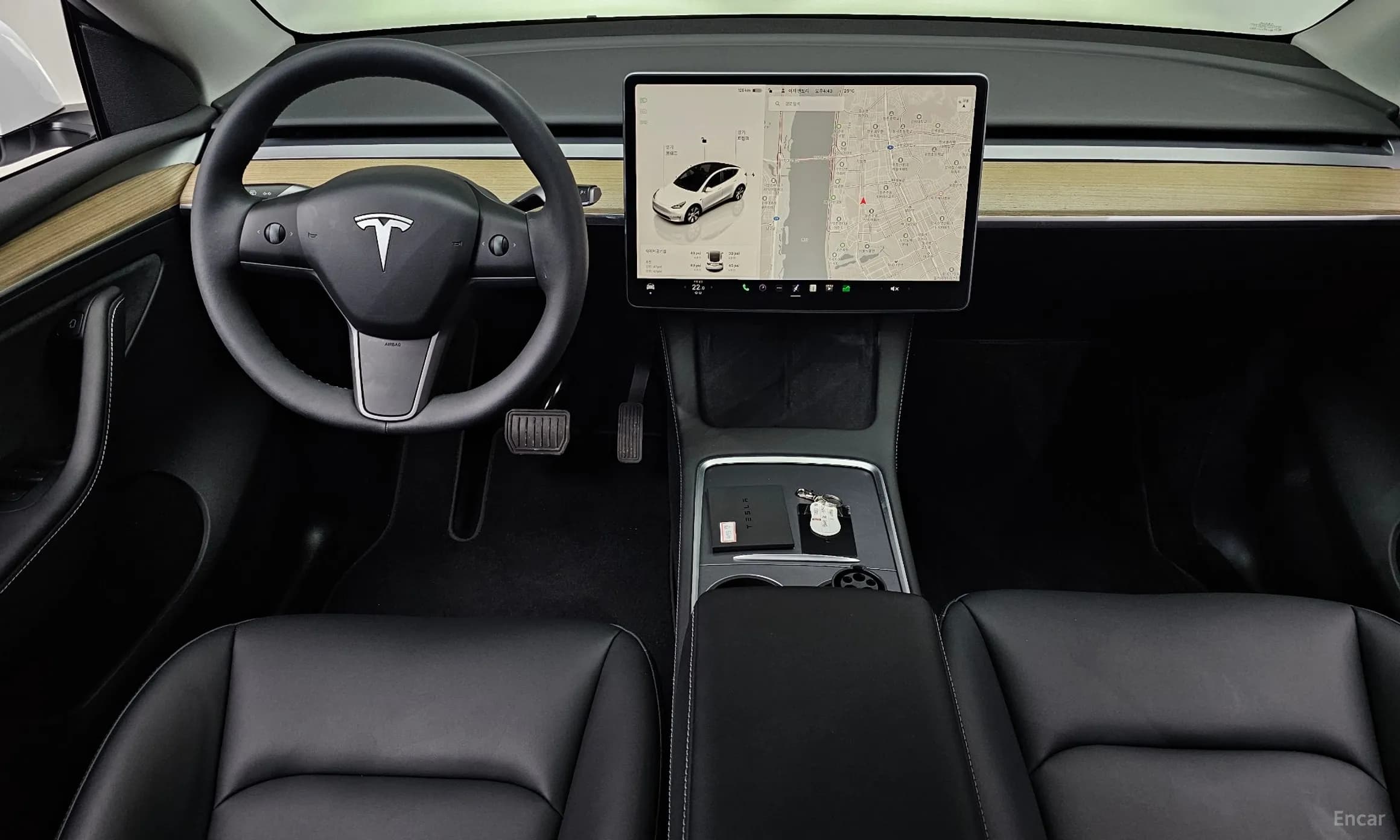 Model Y