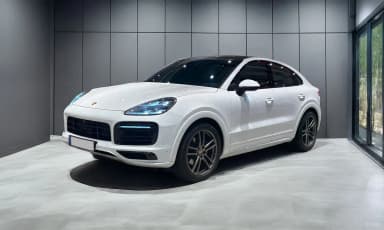 Cayenne (PO536)