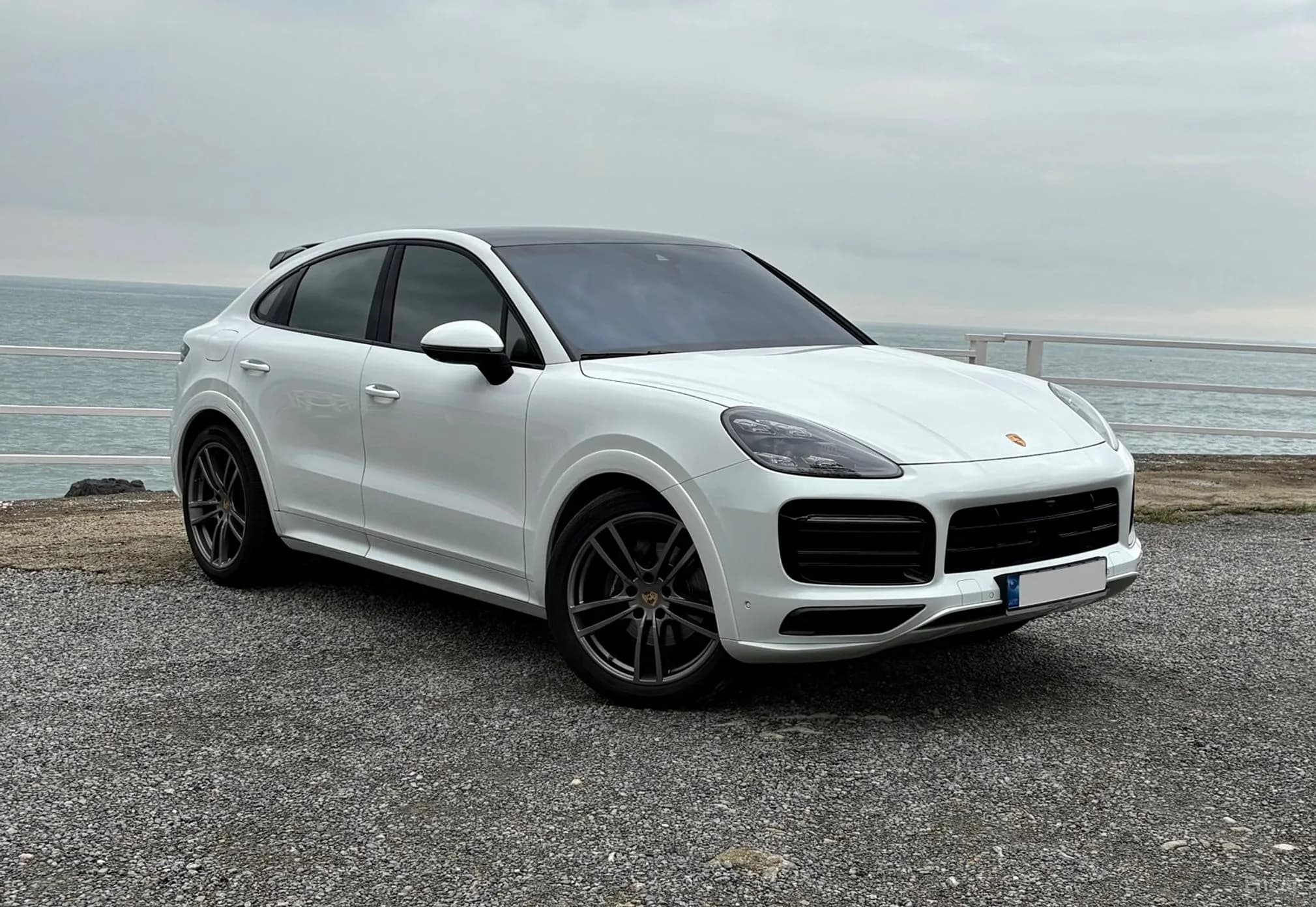 Cayenne (PO536)