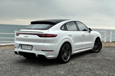 Cayenne (PO536)