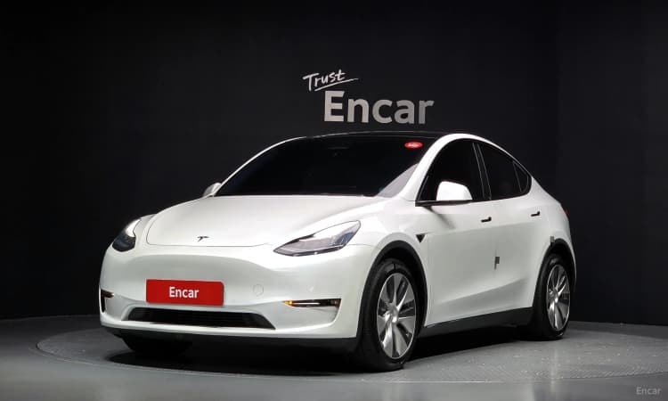 Model Y