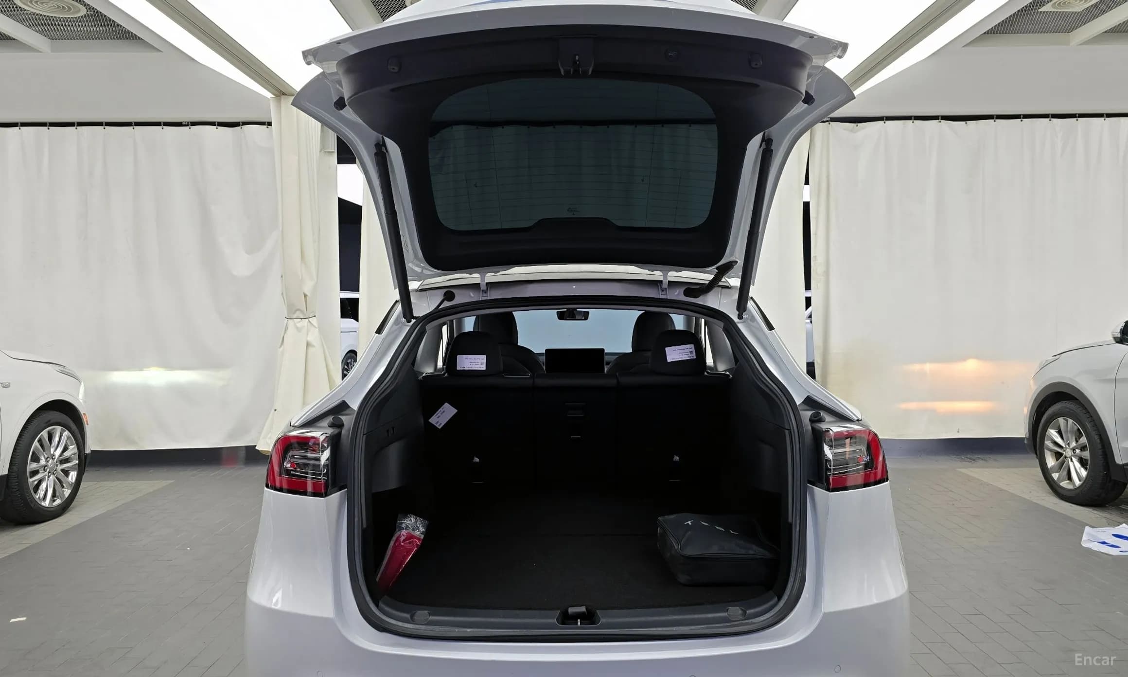 Model Y