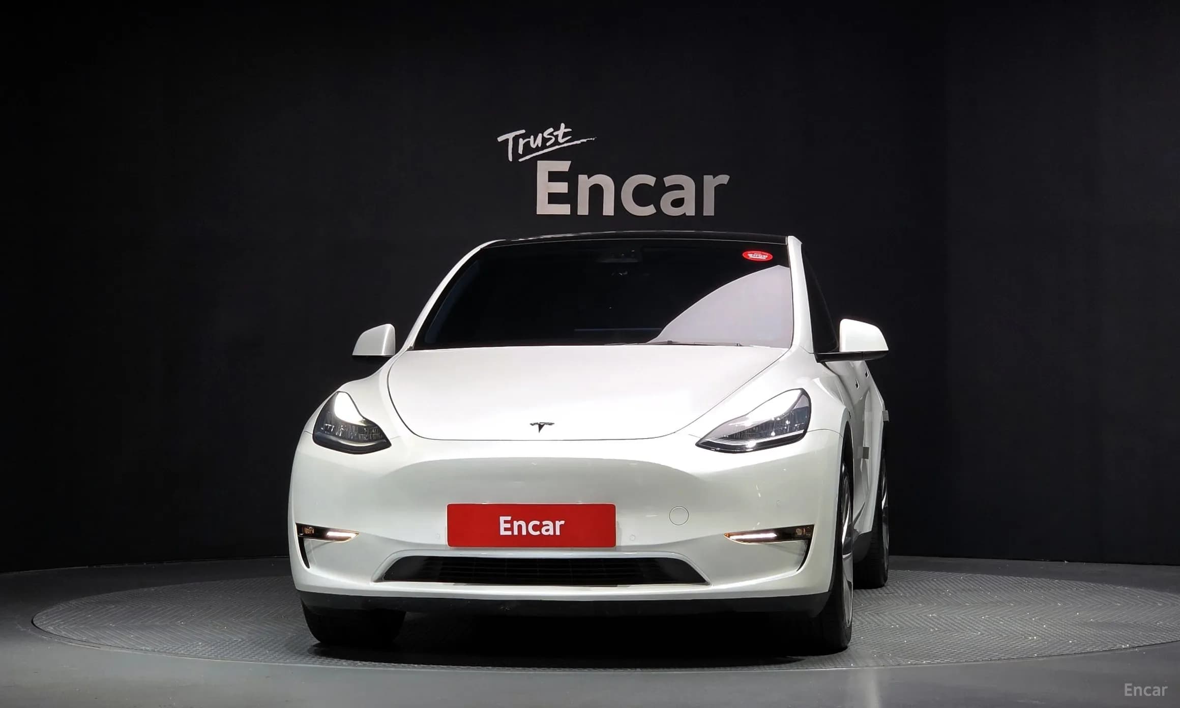 Model Y