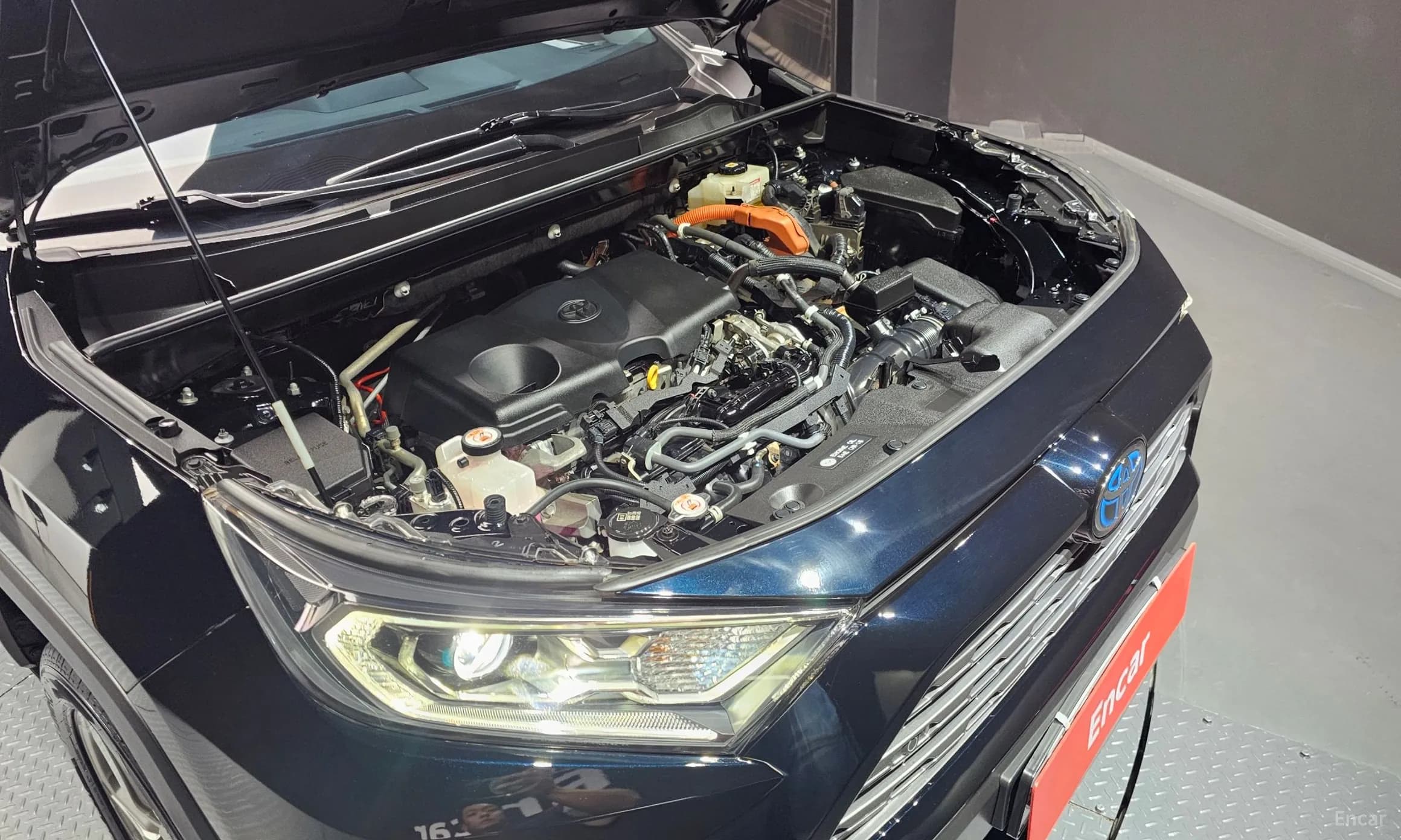 RAV4 5th Generation