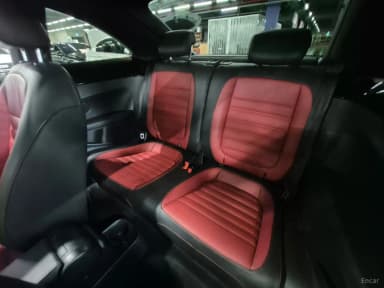 The Beetle