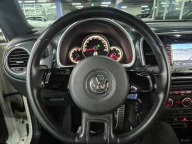 The Beetle