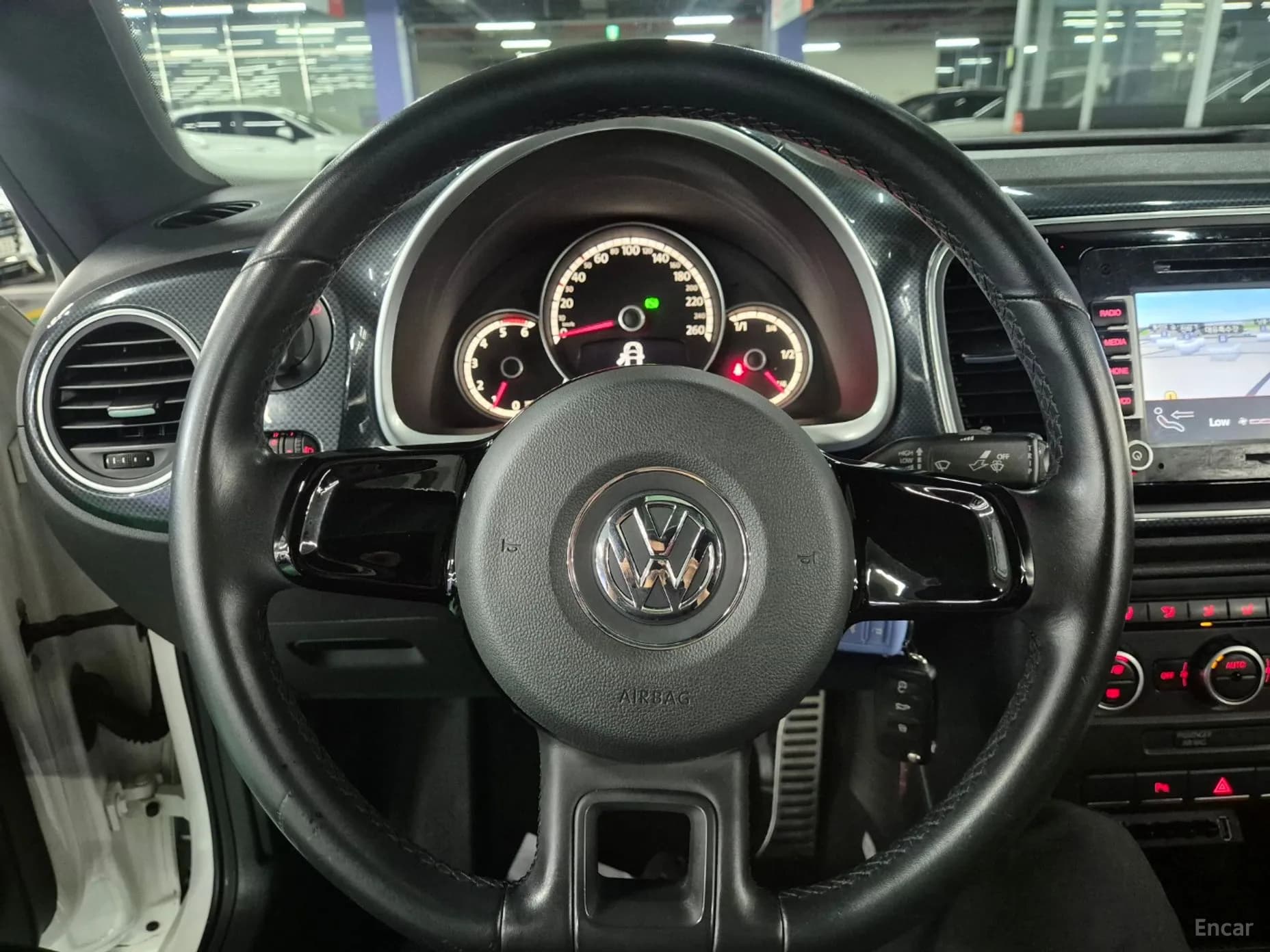 The Beetle