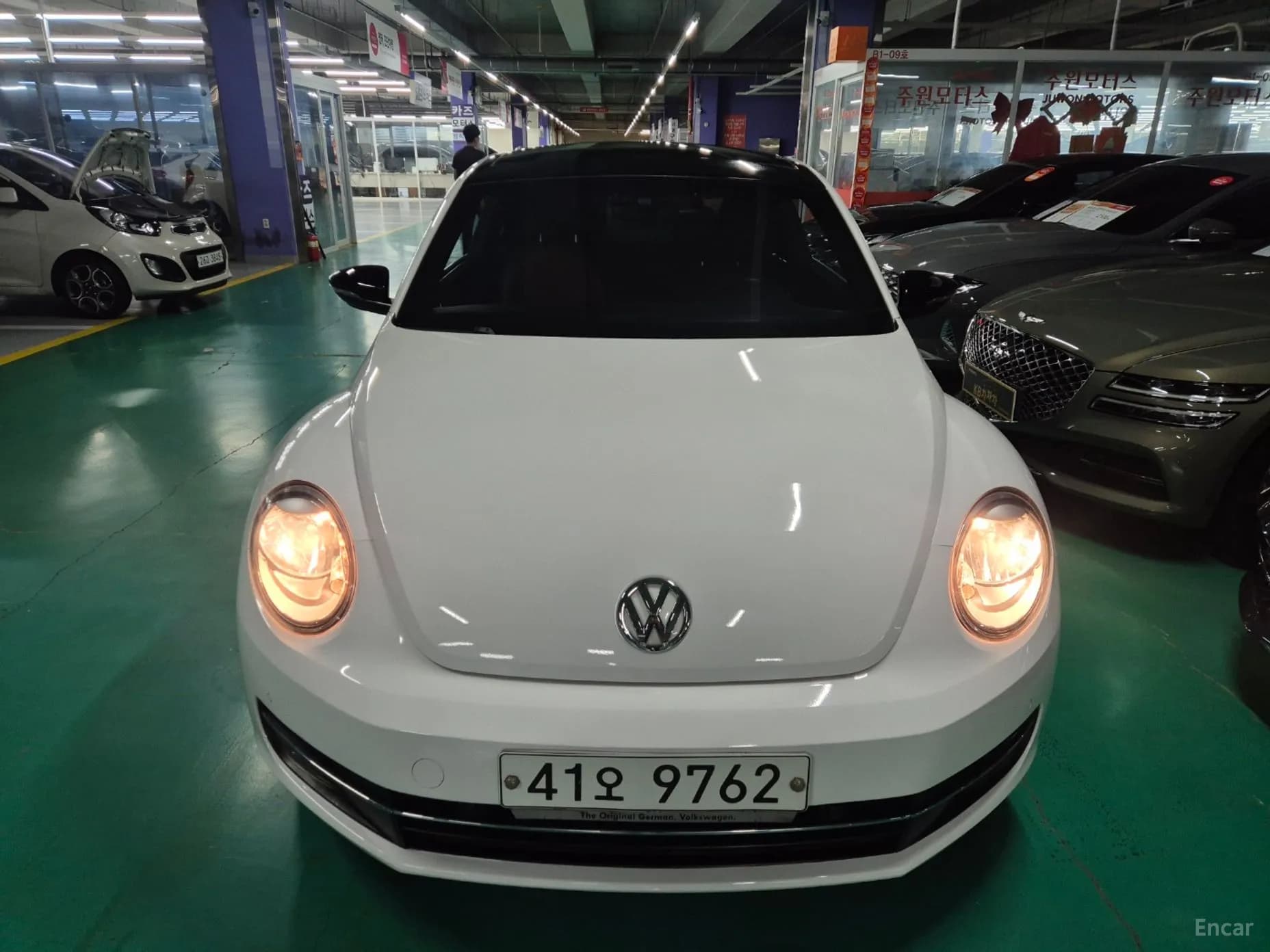 The Beetle