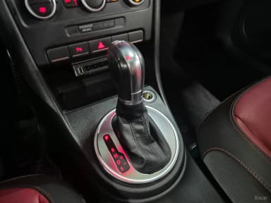The Beetle
