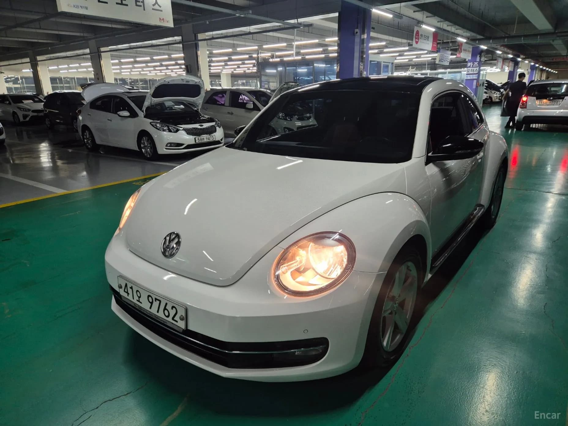 The Beetle