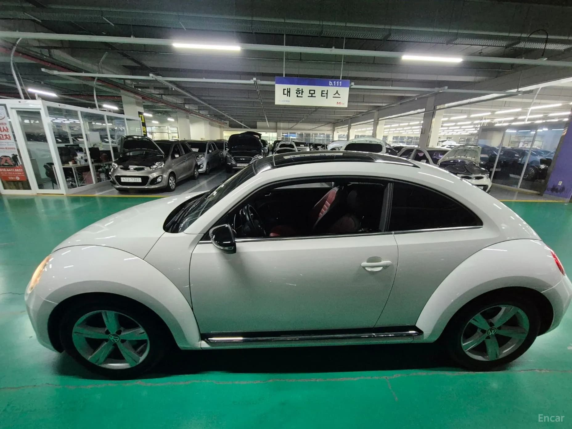 The Beetle