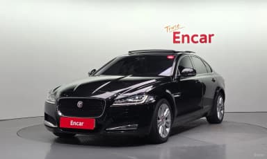 XF (x260)