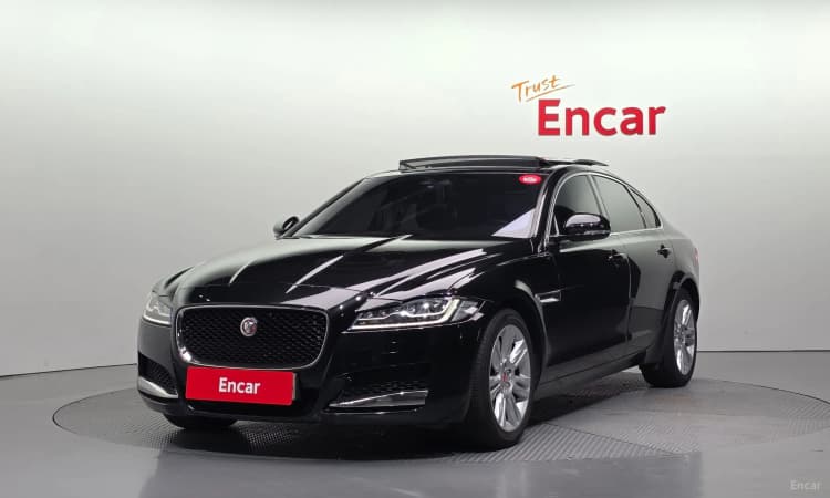 XF (x260)